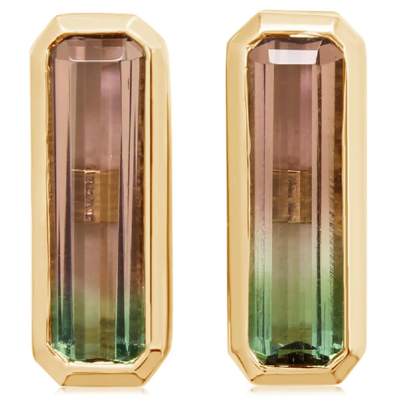 Fashion-Forward Jewelry At Exclusive Discounts 14K Yellow Gold Bi-Color Tourmaline Earrings Fashion-Forward Jewelry At Exclusive Discounts 14K Yellow Gold Bi-Color Tourmaline Earrings
