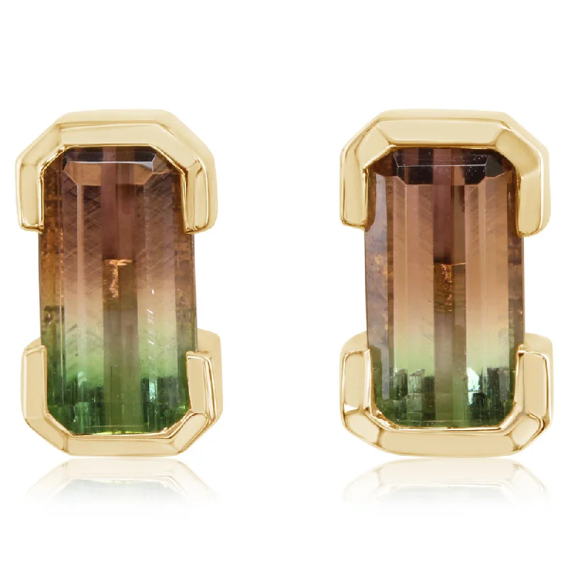 Your Dream Jewelry At Dream Prices 14K Yellow Gold Bi-Color Tourmaline Earrings